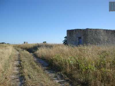 Sul terreno sbucano qua e l� alcuni casolari contadini di recente costruzione. Sull'area, dichiarata edificabile nel 1998, potrebbe sorgere a breve una nuova zona residenziale 